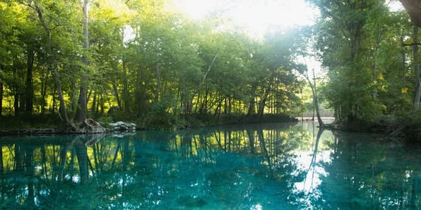Best Springs & Rivers Near Gainesville
