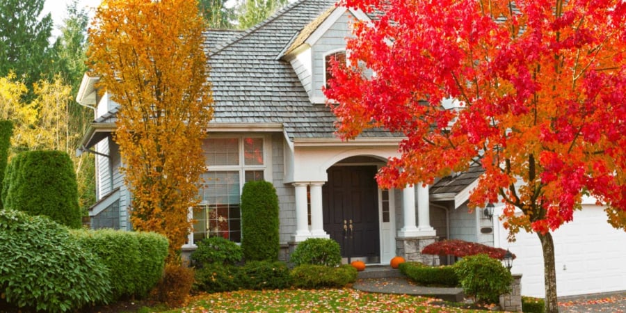 Earthy hues for your fall design in your home - Robinson Renovation and Custom Homes