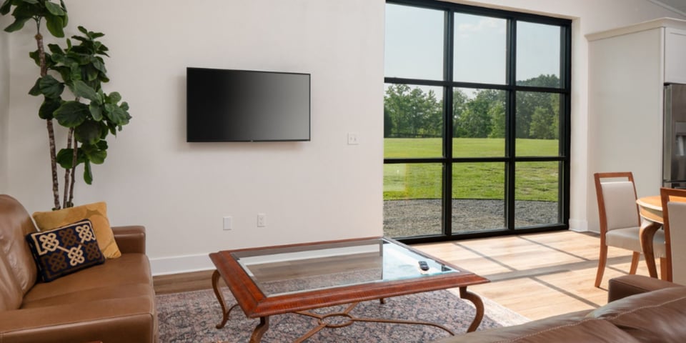 Living Room in Custom ADU Barn Conversion in Jonesville